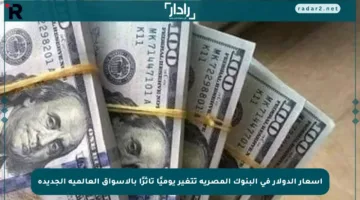 أسعار الدولار في البنوك المصرية تتغير يوميًا تأثرًا بالأسواق العالمية الجديدة